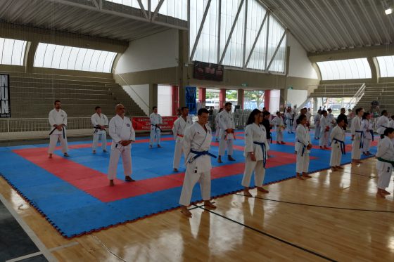 2019 – Campeonato Brasileiro de Karate e Kobudo Shinshukan