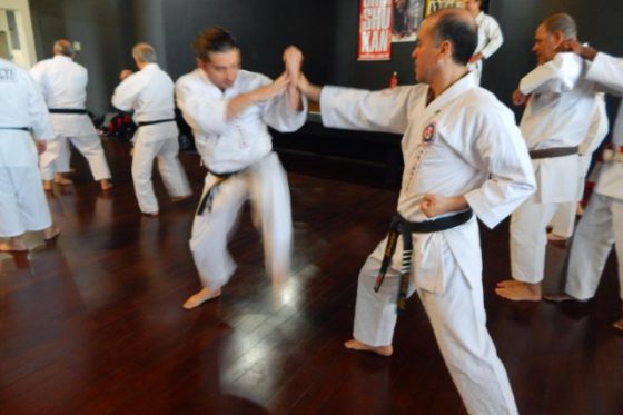 2019 – Seminário de Karate – Tietê