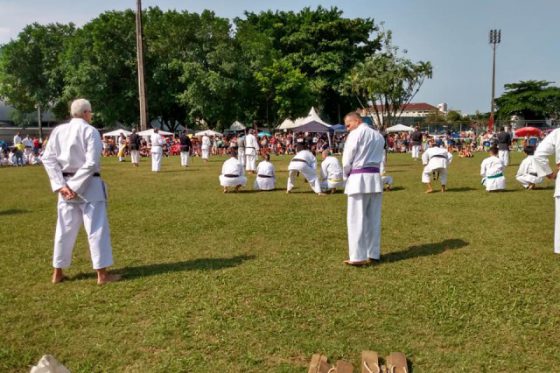 2019 – Undokai – Santos