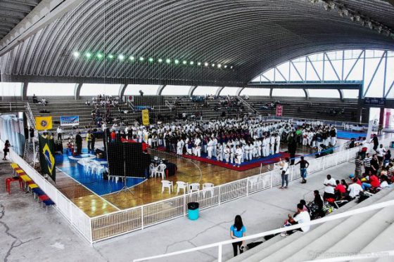 Campeonato Brasileiro Shinshukan 2014