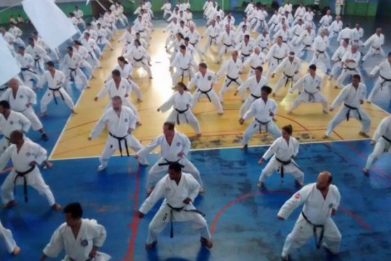 Seminário Internacional Shinshukan 2015 – Cotia/SP