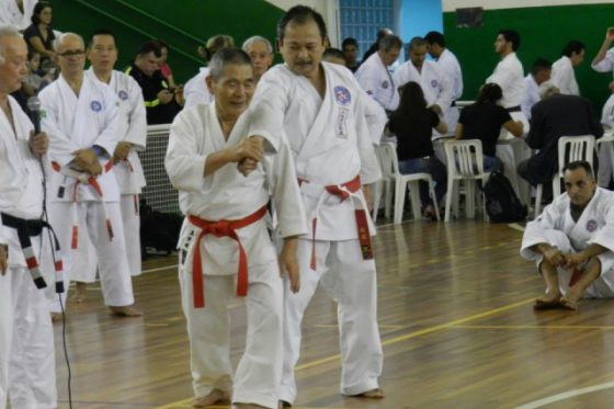 Seminário Internacional Shinshukan 2015 – Cotia/SP