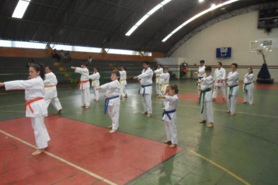 Seminário Karate em Piracicaba