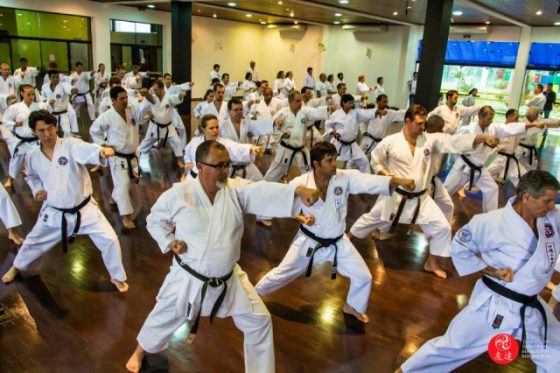 Seminário de Karate em Tiete/SP