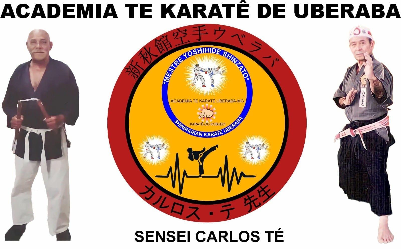 Logo Academia Te karatê de Uberaba