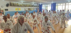 Aula Especial de Karate Shinshukan para Kodanhas 2026