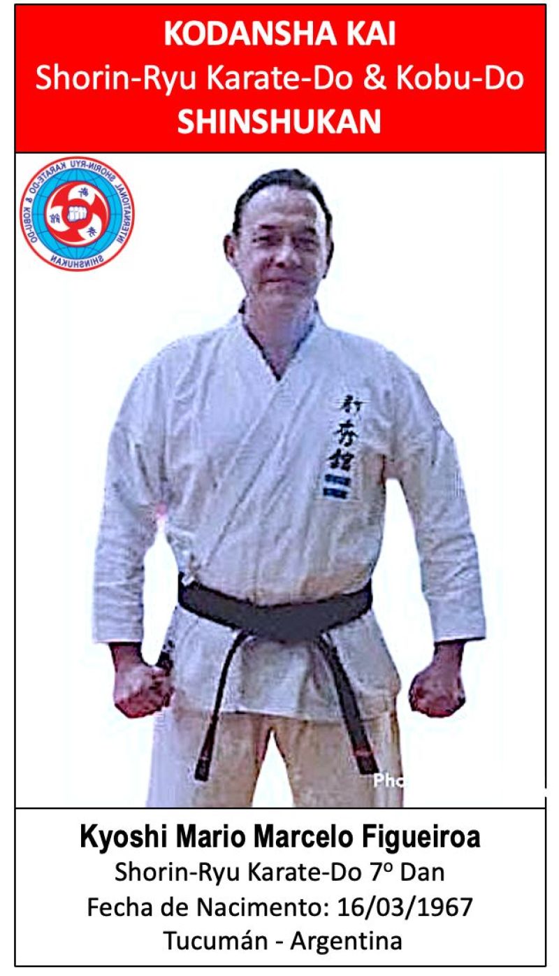 Mario Marcelo Figueiroa